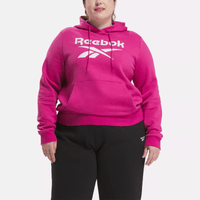 Reebok Identity Big Logo Fleece Hoodie (Plus Size)