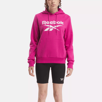 Reebok Identity Big Logo Fleece Hoodie