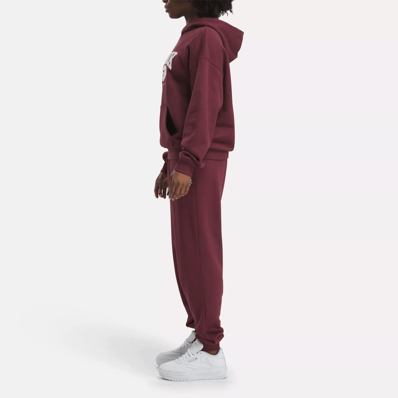 Classics Archive Essentials Big Logo French Terry Hoodie
