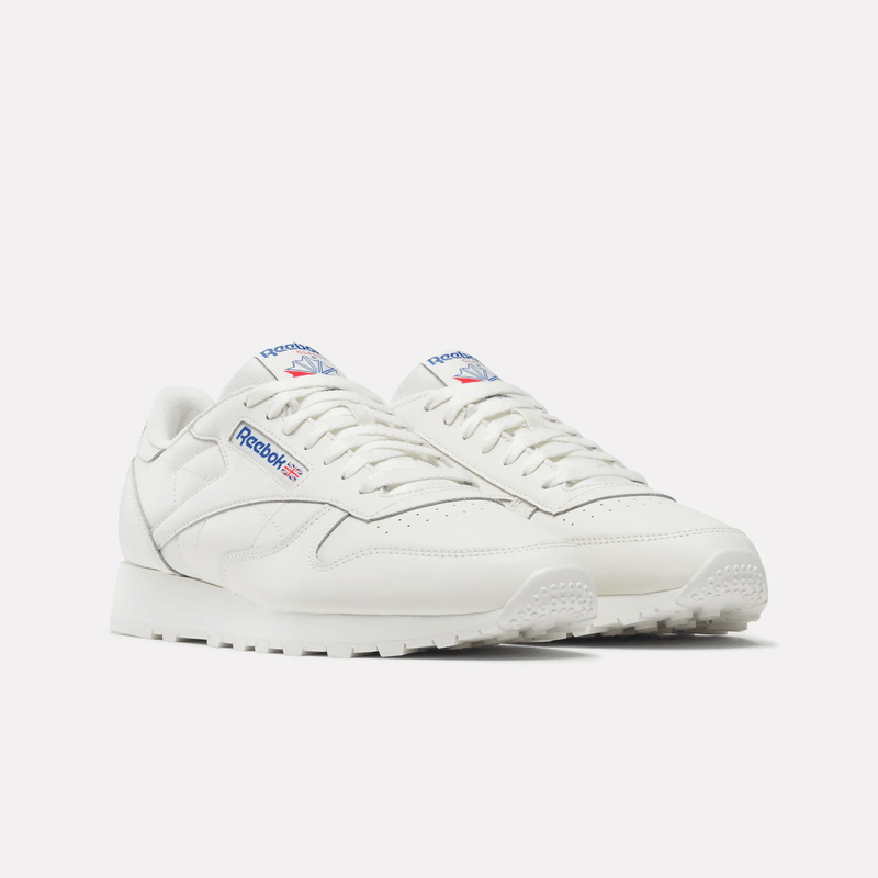 Classic Leather Shoes