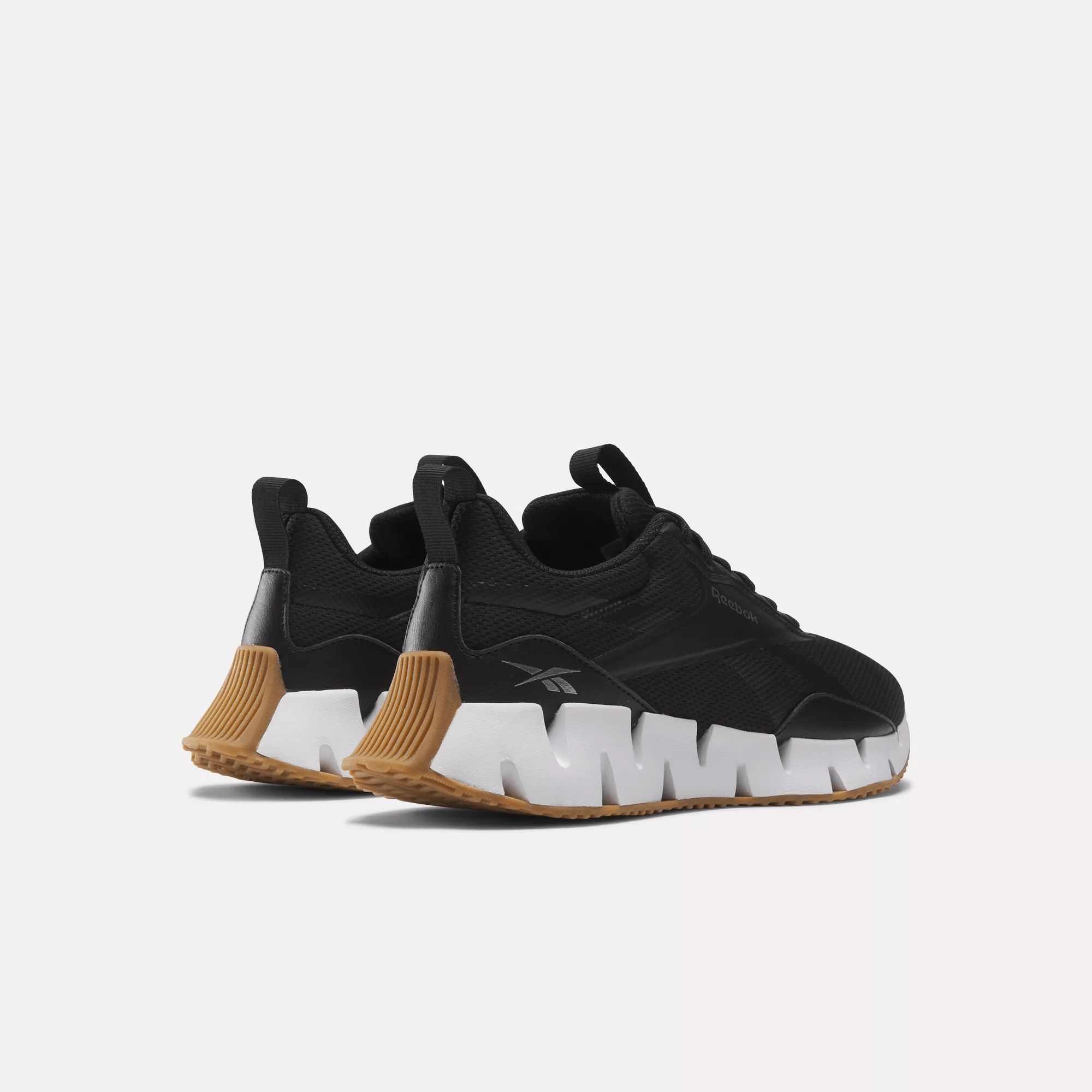 Zig Dynamica STR Shoes