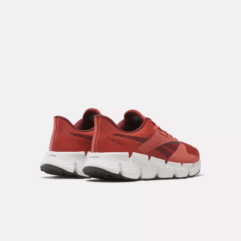 Zig Dynamica 5 Shoes