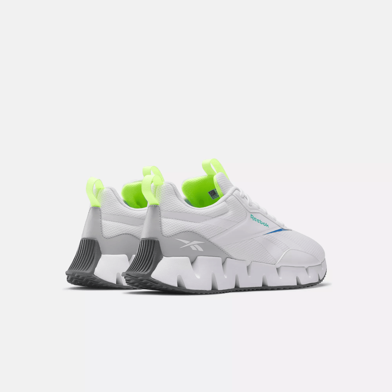 Zig Dynamica STR Shoes