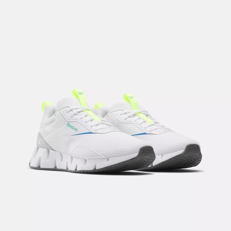 Zig Dynamica STR Shoes