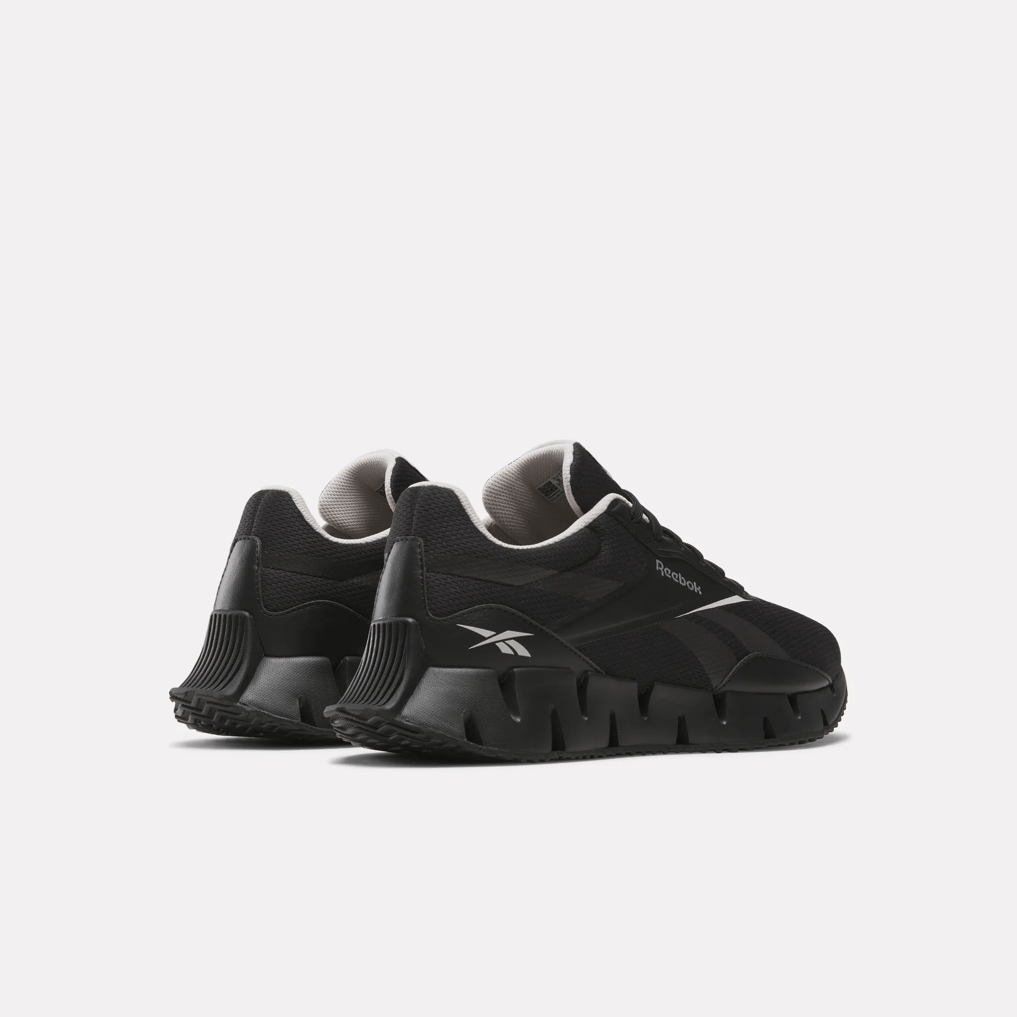 Zig Dynamica STR Shoes