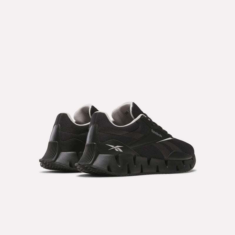 Zig Dynamica STR Shoes