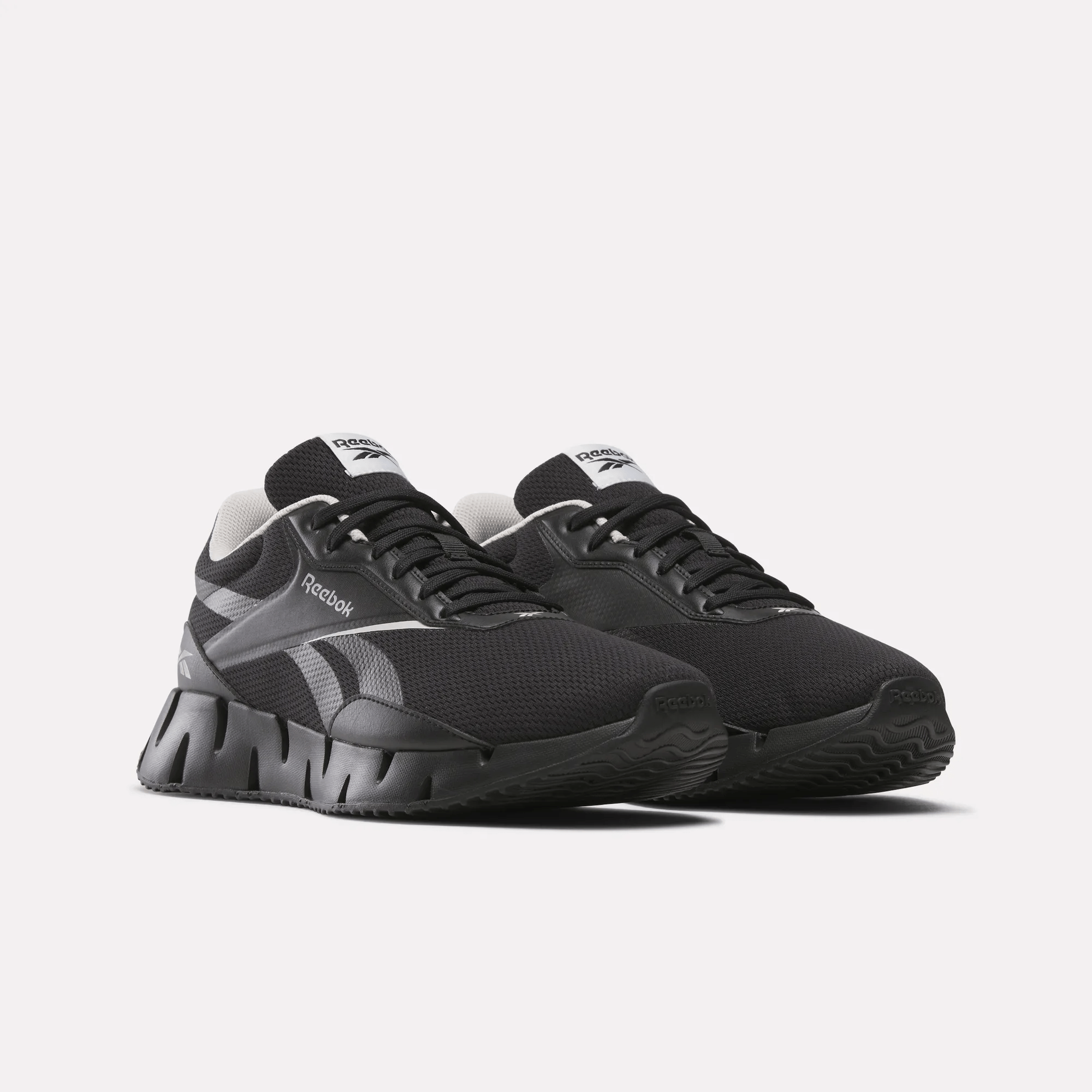 Zig Dynamica STR Shoes