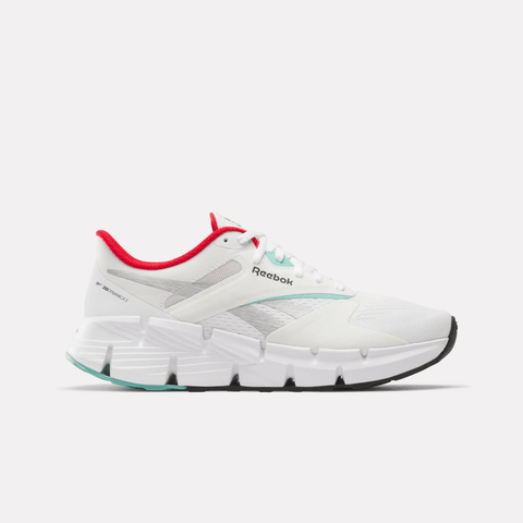 Zig Dynamica 5 Shoes