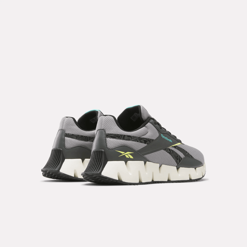 Zig Dynamica STR Shoes