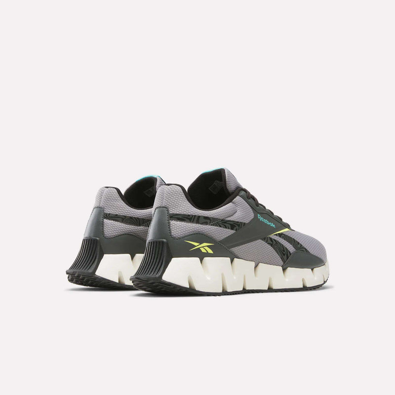 Zig Dynamica STR Shoes