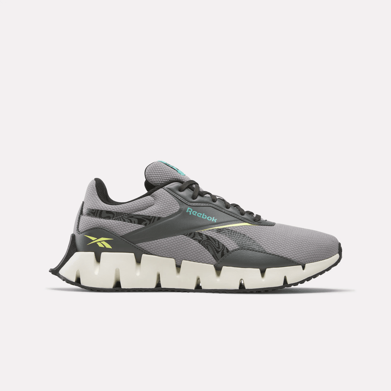 Zig Dynamica STR Shoes
