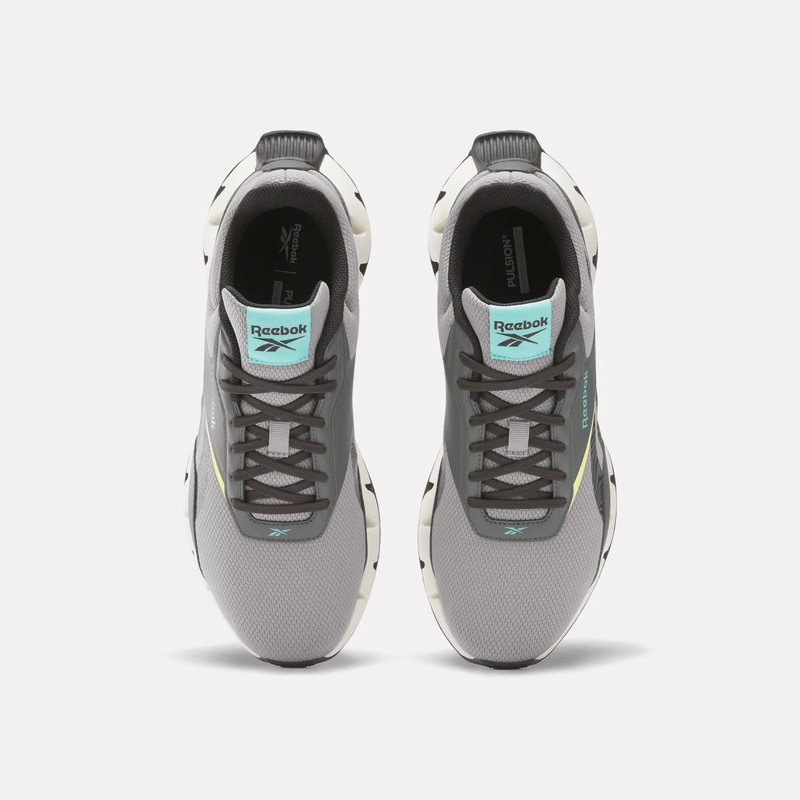Zig Dynamica STR Shoes