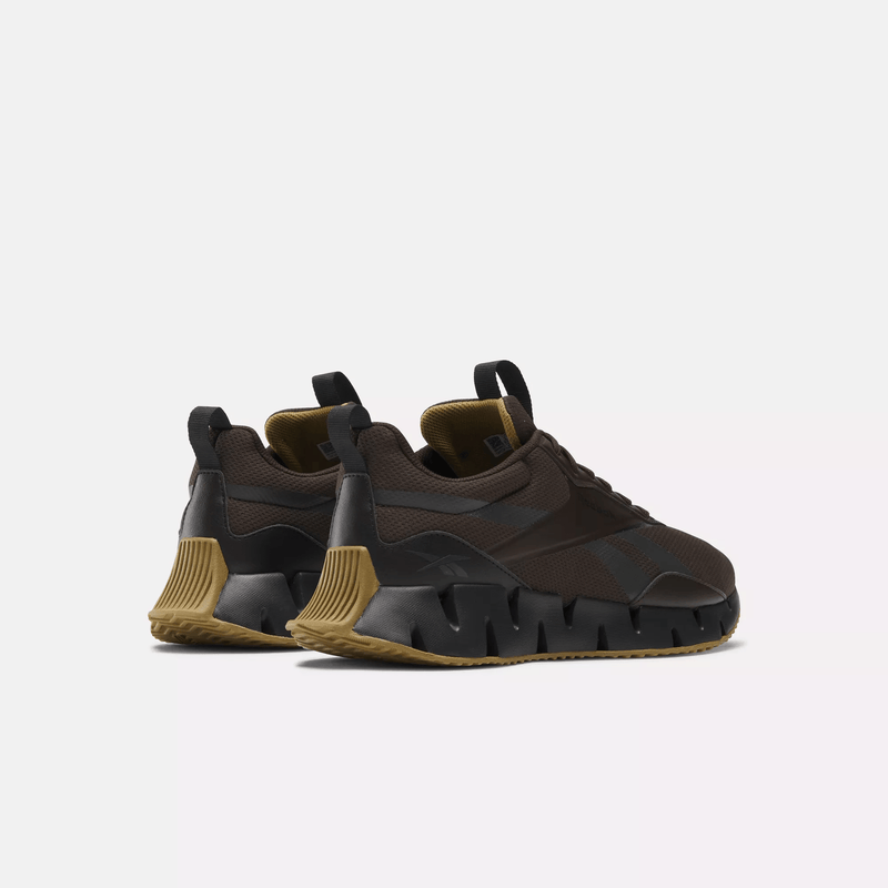 Zig Dynamica STR Shoes