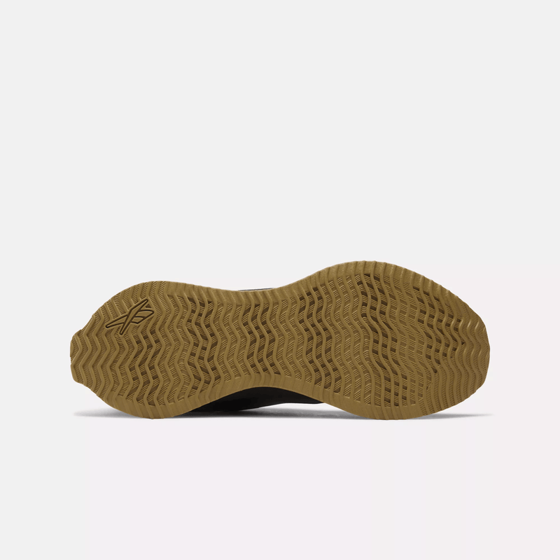 Zig Dynamica STR Shoes