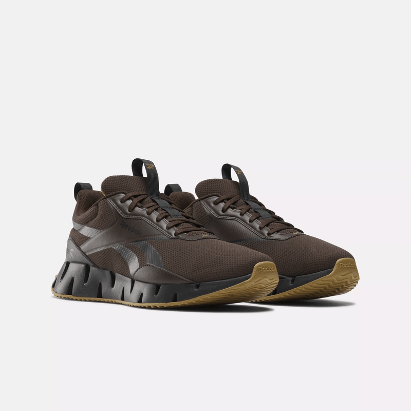 Zig Dynamica STR Shoes