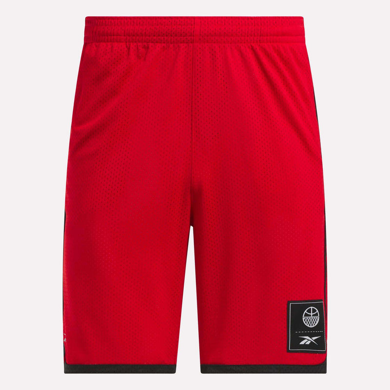 Men's Basketball Mesh Shorts
