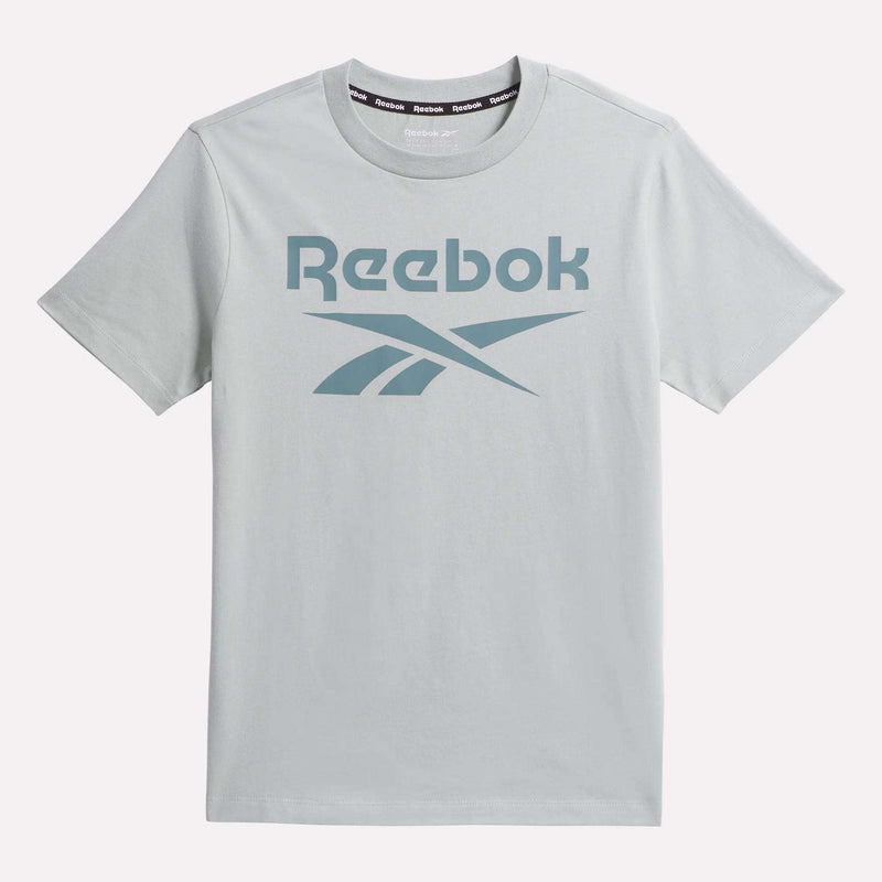 The Reebok Kids' ID Big Logo Tee is a light gray short-sleeve cotton jersey t-shirt with a bold blue Reebok logo on the chest and a black inner collar band with repeated "Reebok" branding.