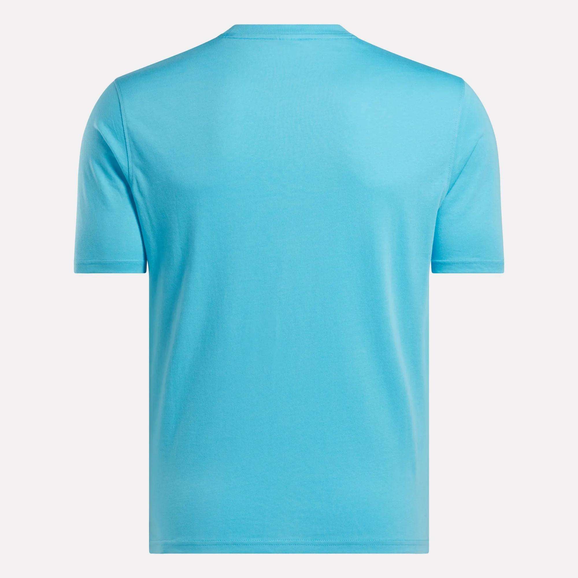 The Reebok Men's Big Logo Crewneck Short Sleeve Tee in light blue is displayed from the back against a white background.