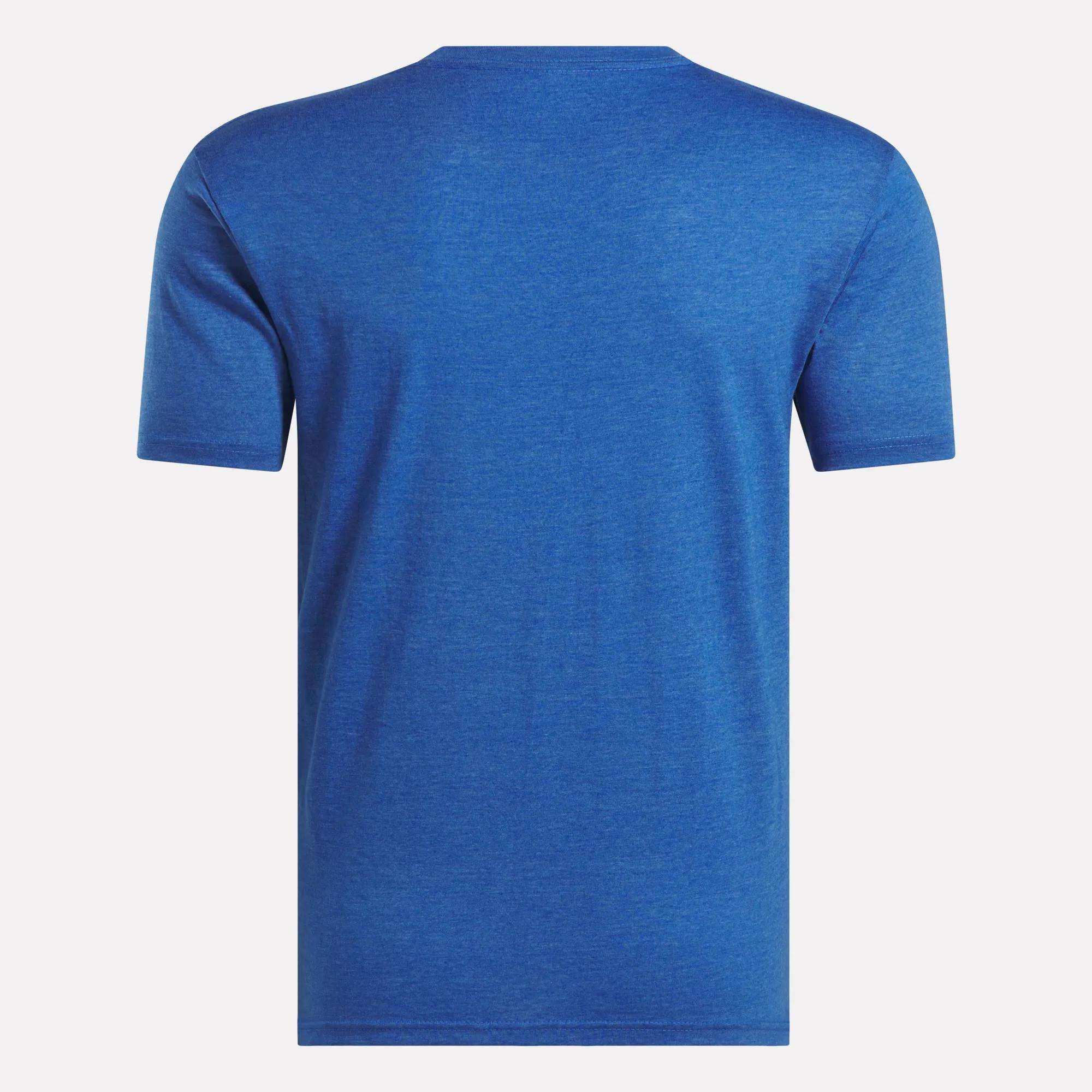 The Reebok Men's Identity Small Logo T-Shirt features a relaxed fit in plain blue, displayed from the back against a white background.