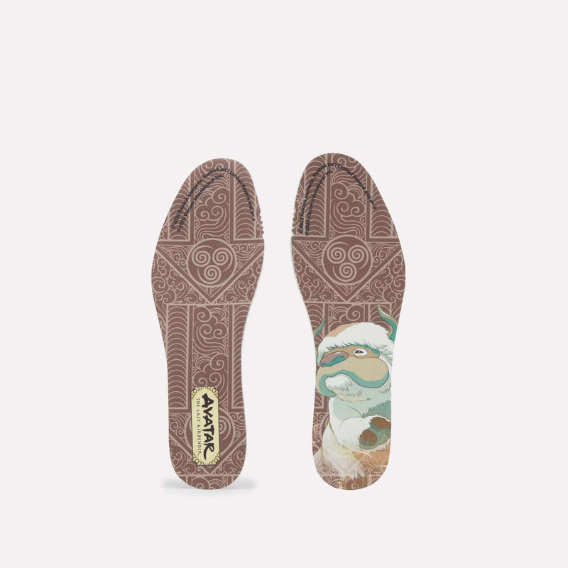 A pair of Reebok x Avatar Club C 85 shoe insoles featuring brown, intricate patterns, a logo for The Last Airbender, and an illustration of Appa.