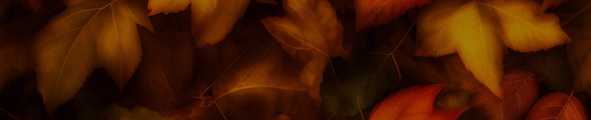 fall leaves background