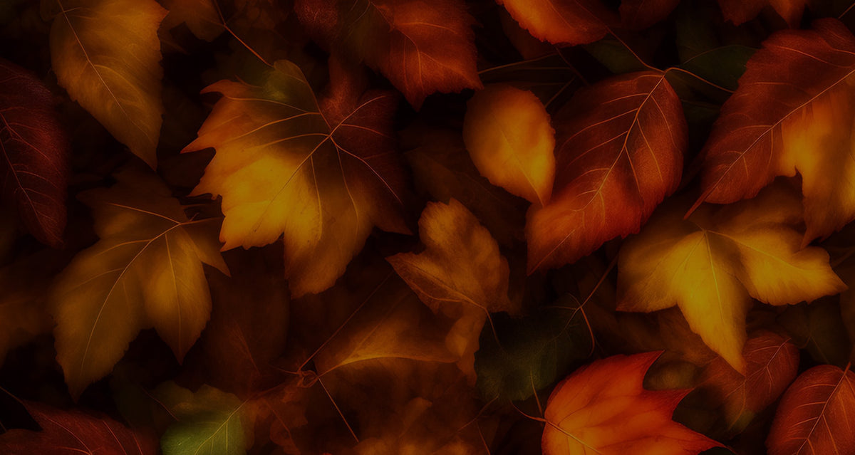 fall leaves background