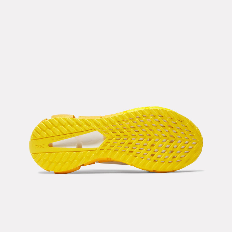 Men's FloatZig 1 Shoes