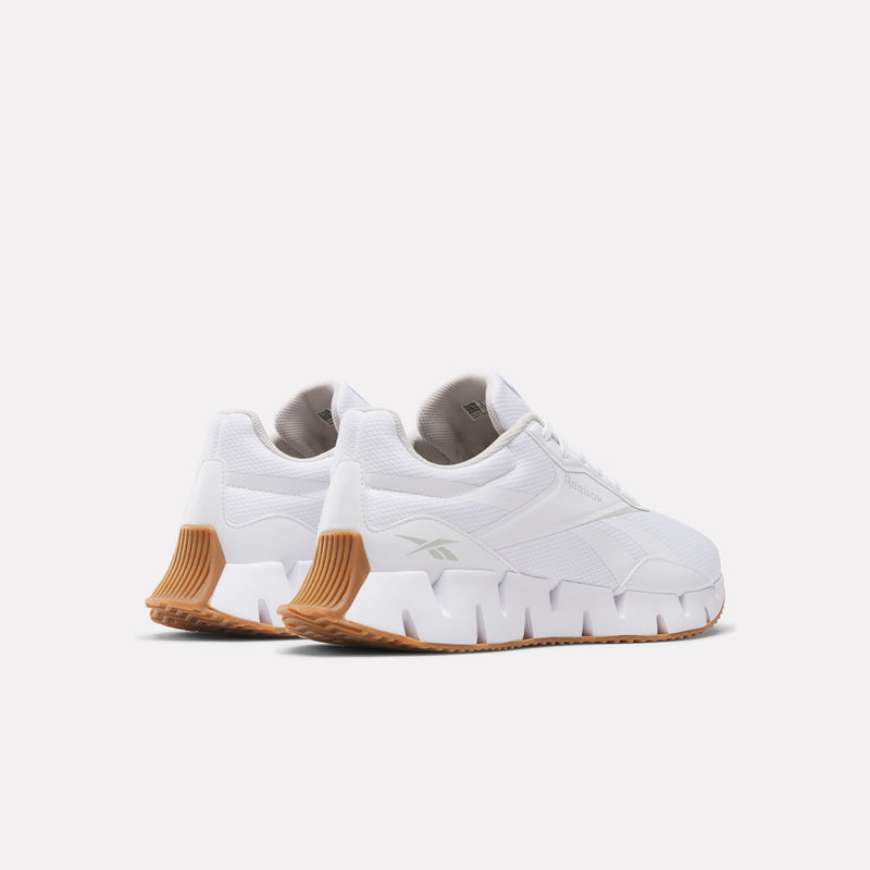 Zig Dynamica STR Shoes
