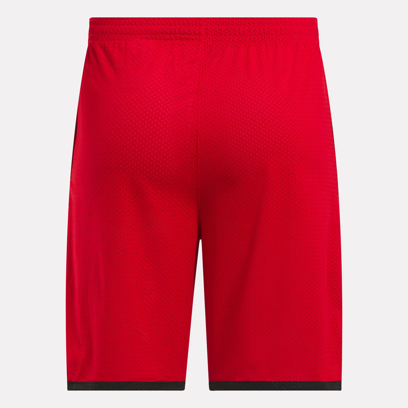 Men's Basketball Mesh Shorts