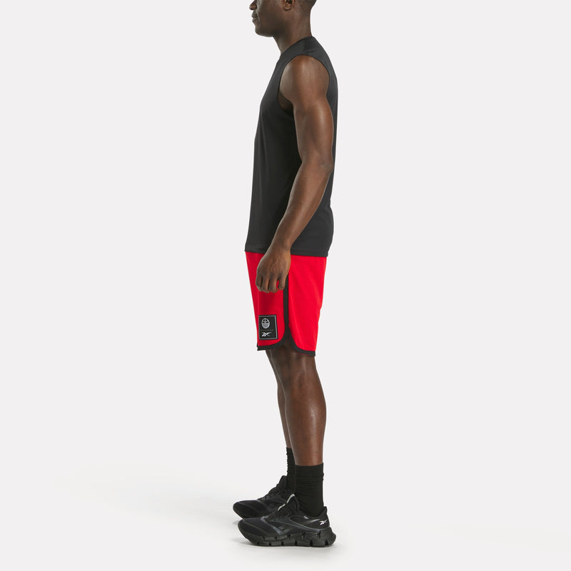 Men's Basketball Mesh Shorts