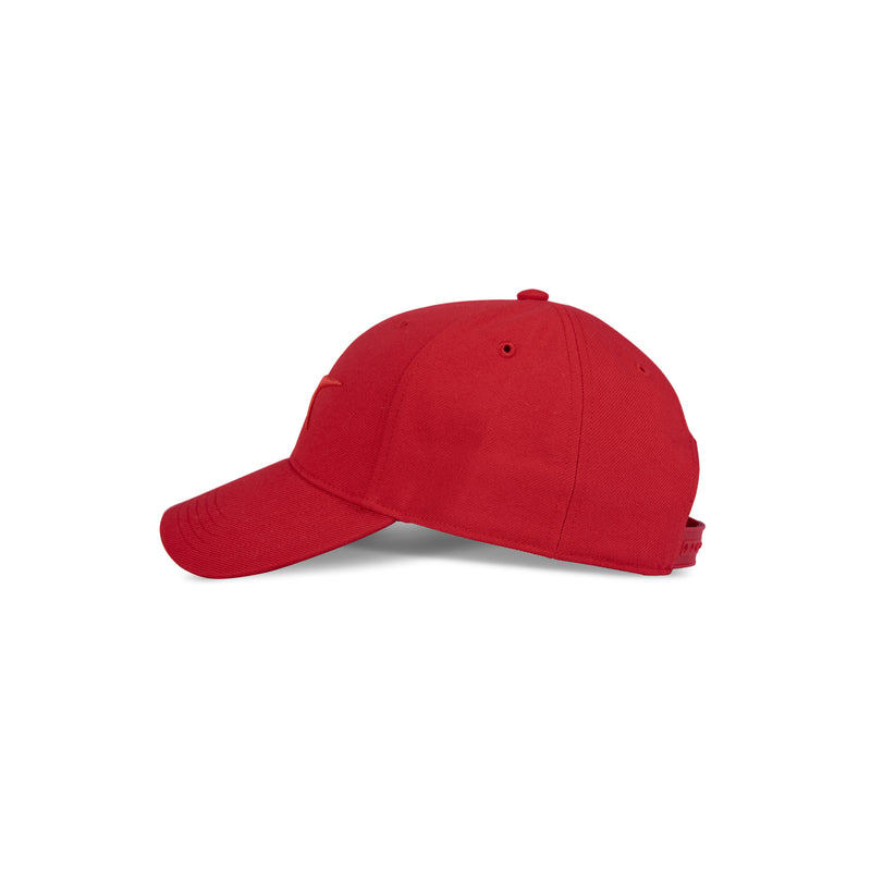 Vector Baseball Cap