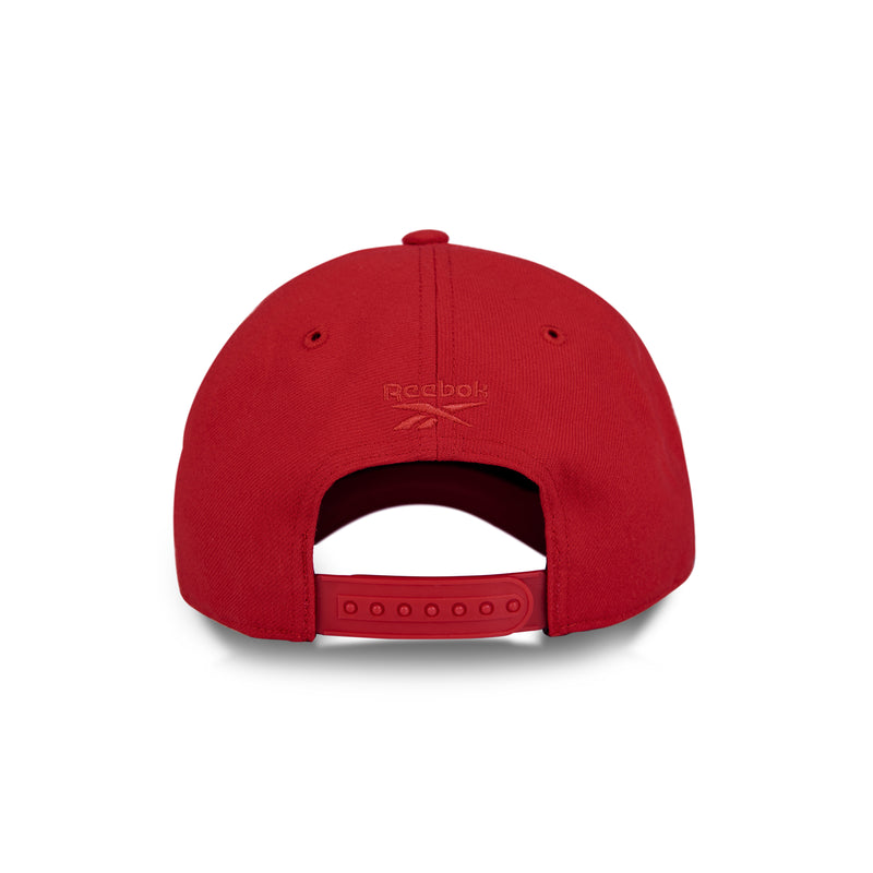 Vector Baseball Cap