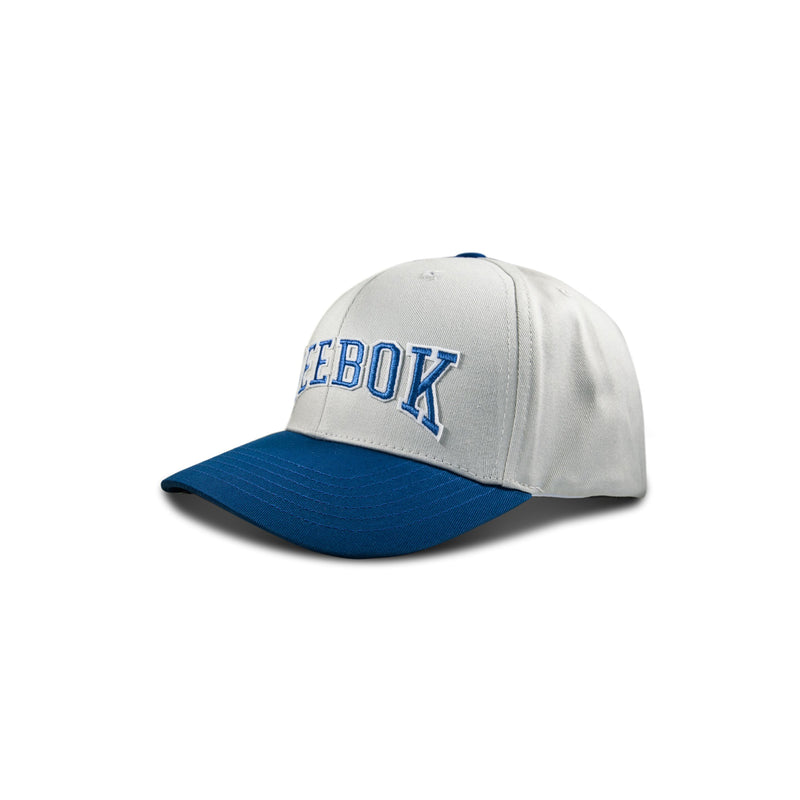 The Reebok Gameday Cap is a vintage-inspired white and blue baseball cap with bold blue REEBOK embroidery on the front, shown against a white background.